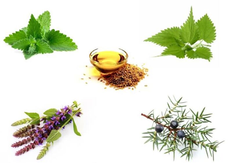 Mint, nettle, thyme, juniper and flax
